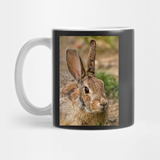 Wild Rabbit Close Up Mug